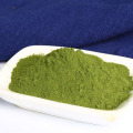 High Quality Pure Natural Green wakame powder Wakame Extract